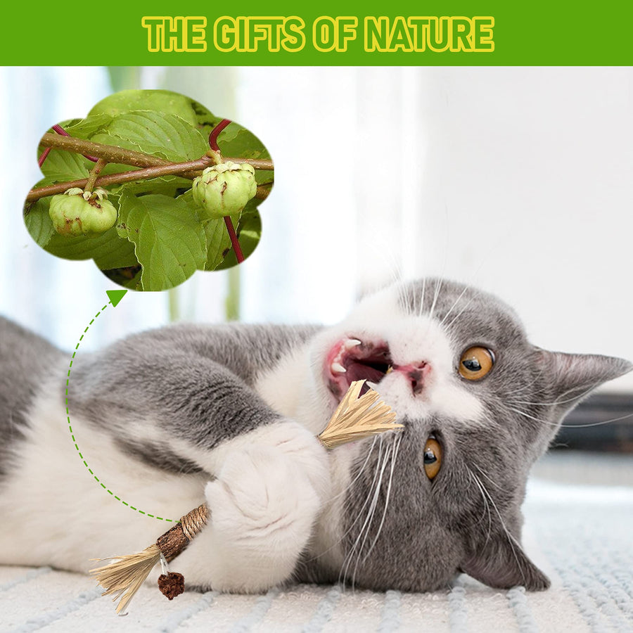 Rove Silvervine Chew Sticks cat product